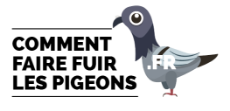 Comment se débarrasser des pigeons